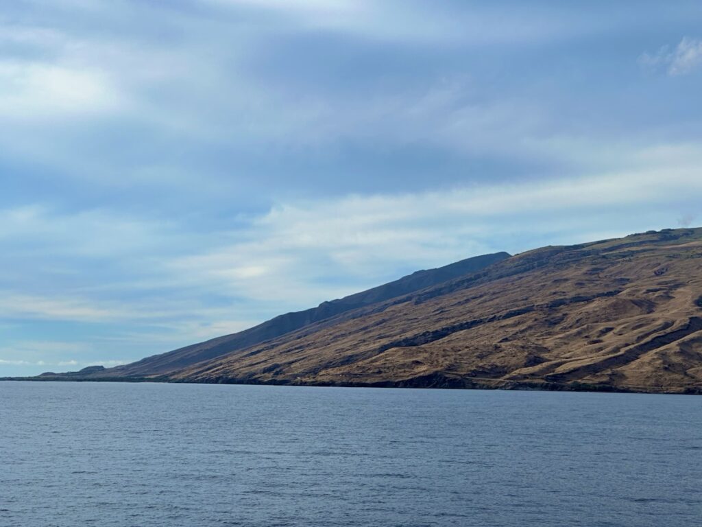 Turtle Point, Maui, Hawaii​